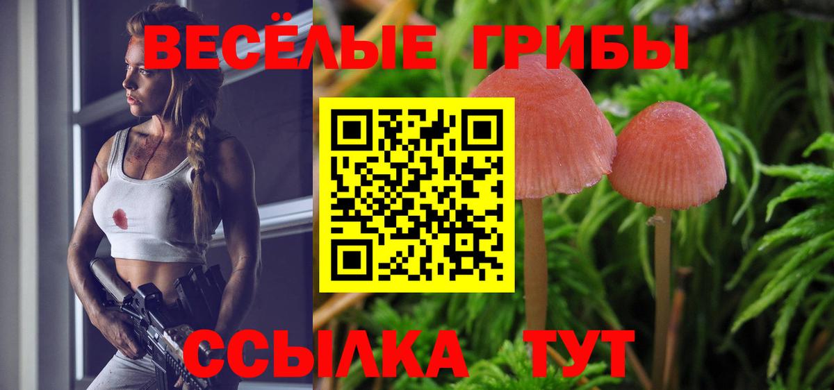Псилоцибиновые грибы мухоморы  Псилоцибиновые грибы мухоморы  Вход с VPN  Сегежа 